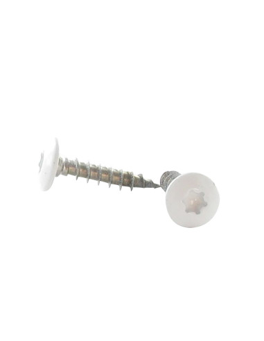 1 x Tornillo pernio 6X30 roscado total TORX T30...