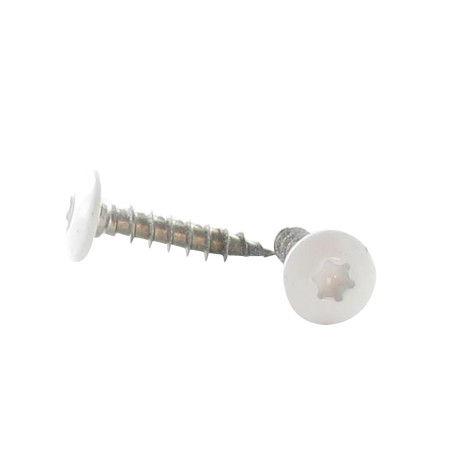 1 x Tornillo pernio 6X30 roscado total TORX T30 Inoxidable A2 lacado blanco RAL9016 blanco tráfico