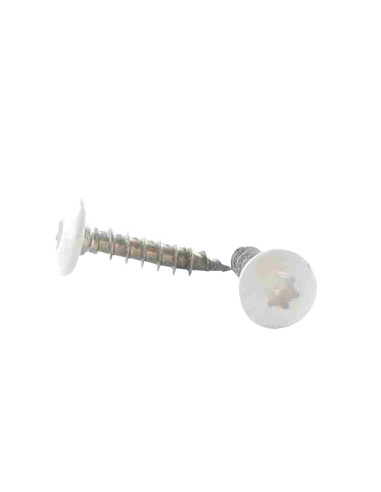 1 x Tornillo pernio 6X25 roscado total TORX T30...