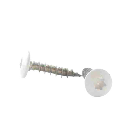 1 x Tornillo pernio 6X25 roscado total TORX T30 Inoxidable A2 lacado blanco RAL9016 blanco tráfico