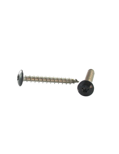 1 x Tornillo pernio 6X60 roscado en 54 TORX T30...