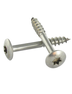 Tornillo pernio 7X50 roscado en 38 TORX T30 Inoxidable A2