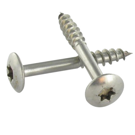 1 x Tornillo pernio 7X50 roscado en 38 TORX T30 Inoxidable A2