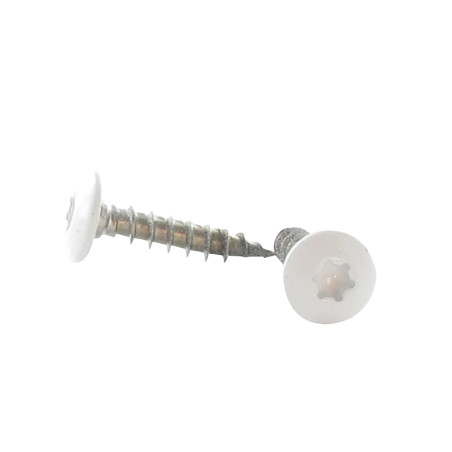 1 x Tornillo pernio 7X50 roscado total TORX T30 Inoxidable A2 lacado blanco RAL9016 blanco tráfico