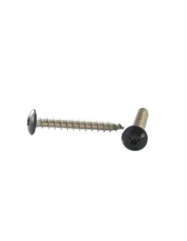1 x Tornillo pernio 6X25 roscado total TORX T30...