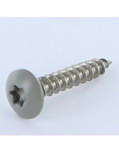 Tornillo pernio 6X35 roscado en 30 TORX T30 Inoxidable A2...