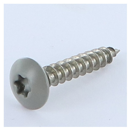 1 x Tornillo pernio 6X35 roscado en 30 TORX T30 Inoxidable A2 RAL7023