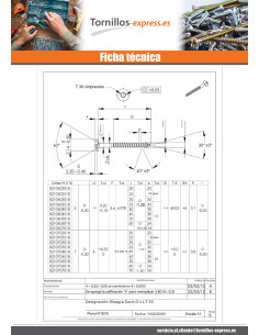 Tornillo pernio 6X35 roscado en 30 TORX T30 Inoxidable A2... 2