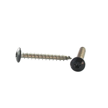 1 x Tornillo pernio 6X30 roscado total TORX T30 Inoxidable A2 lacado negro RAL9005 negro intenso
