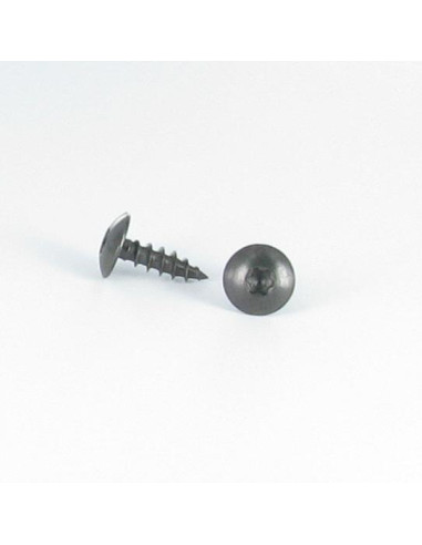 1 x Tornillo pernio 6X40 roscado en 38 TORX T30...
