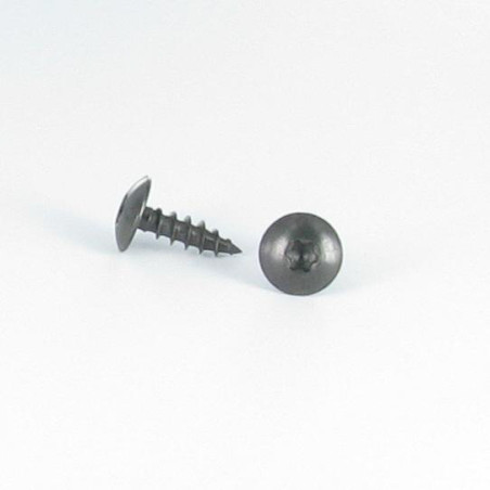 1 x Tornillo pernio 6X40 roscado en 38 TORX T30 Inoxidable A2 Negro