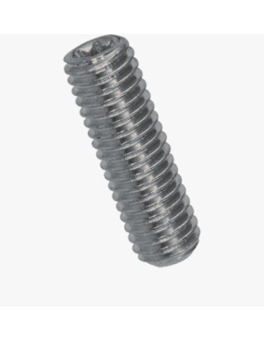 1 x Tornillo metales sin cabeza TORX T8 punta...