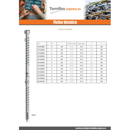 1 x Tornillos de sujeción cabeza cilíndrica doble rosca TORX T40 8X255 Acero cincado blanco