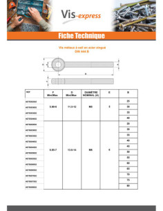 Tornillo metales con ojo M10X110 roscado en 26 Acero... 2