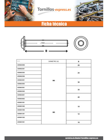 1 x Tornillo metales Cabeza Abombada con Hueco...