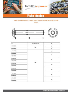 Tornillo metales Cabeza Abombada con Hueco hexagonal... 2