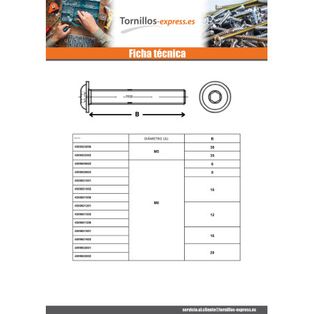 1 x Tornillo metales Cabeza Abombada con Hueco hexagonal resalto reborde M4X6 clase 10.9 Acero cincado blanco