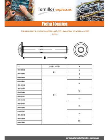 1 x Tornillo metales Cabeza Abombada con Hueco...