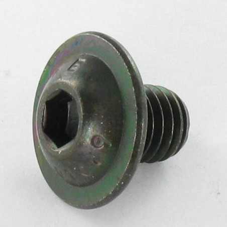 1 x Tornillo metales Cabeza Abombada con Hueco hexagonal resalto reborde M6X10 llave de 4 clase 10.9 Acero cincado negro