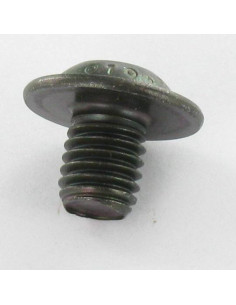 Tornillo metales Cabeza Abombada con Hueco hexagonal... 2