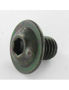 Tornillo metales Cabeza Abombada con Hueco hexagonal...