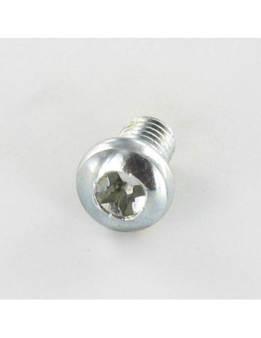 1 x Tornillo metales cabeza cilíndrica abombada...