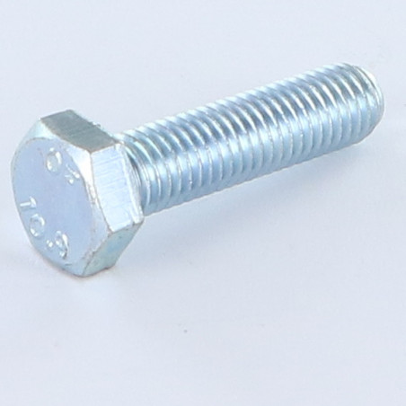 1 x Tornillo metales cabeza hexagonal M8X25 clase 10.9 Acero cincado blanco