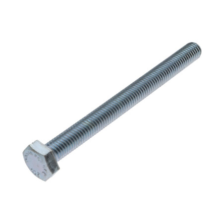 1 x Tornillo metales cabeza hexagonal M10X110 clase 10.9 Acero cincado blanco