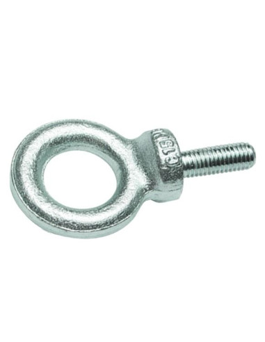 1 x Anilla de elevación MASCULINO M20 Acero