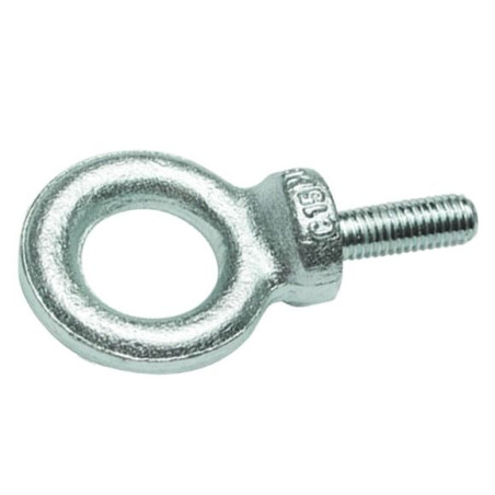 1 x Anilla de elevación MASCULINO M20 Acero