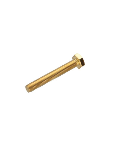 1 x Tornillo metales Latón cabeza hexagonal M8X80