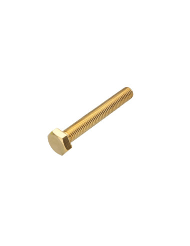 1 x Tornillo metales Latón cabeza hexagonal M12X70