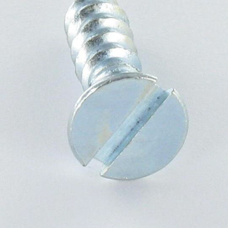 1 x Tornillo madera cabeza fresada/testa svasat ranura 2.5X16 Acero cincado blanco microtornillo