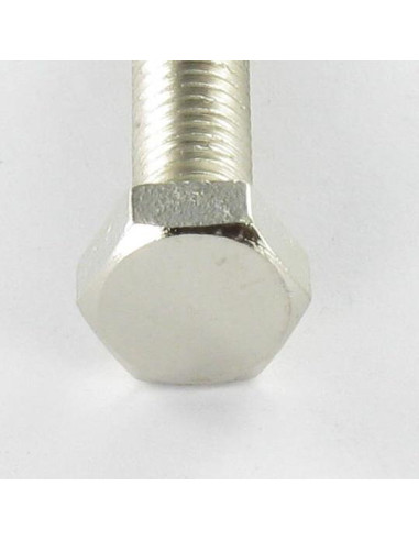 1 x Tornillo metales Latón niquelado cabeza...