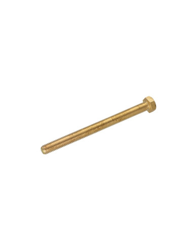 1 x Tornillo metales Latón cabeza hexagonal M8X100