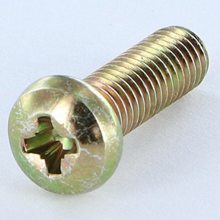 1 x Tornillo metales cabeza cilíndrica abombada Pozi PZ5 M6X38 Pozi PZ4 200 Horas niebla salina Bicromato
