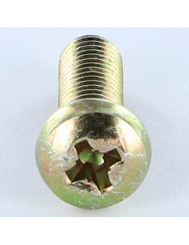 1 x Tornillo metales cabeza cilíndrica abombada...