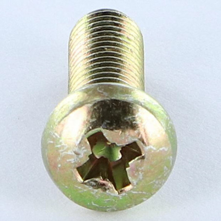 1 x Tornillo metales cabeza cilíndrica abombada Pozi PZ5 M6X38 Pozi PZ4 200 Horas niebla salina Bicromato