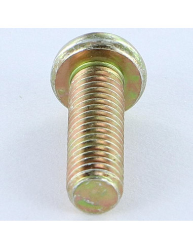 1 x Tornillo metales cabeza cilíndrica abombada...