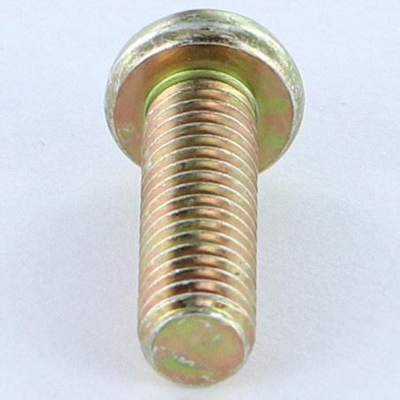 1 x Tornillo metales cabeza cilíndrica abombada Pozi PZ5 M6X38 Pozi PZ4 200 Horas niebla salina Bicromato