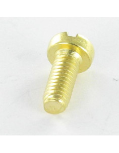 Tornillo metales Latón cabeza cilíndrica ranura M5X20 2