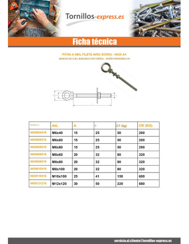 1 x Tornillo de ojo con ojo roscado M10X100 con...