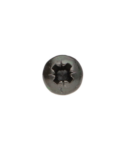 1 x Tornillo madera aglomerado cabeza redonda...