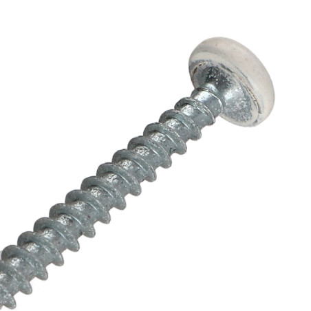 1 x Tornillo madera aglomerado cabeza redonda Pozi PZ4 5X50 Acero cincado blanco lacado blanco RAL9010 blanco puro
