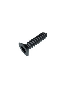 Tornillo chapa cabeza fresada/testa svasat TORX T20...