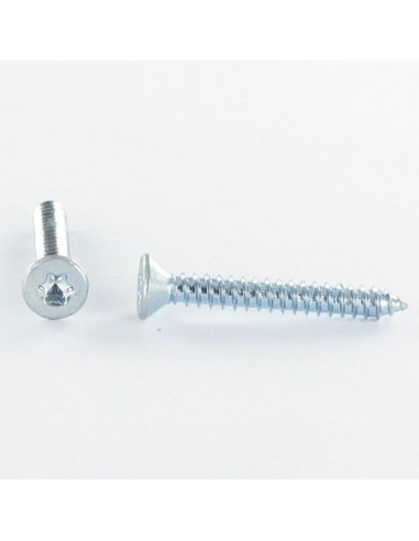 1 x Tornillo chapa cabeza fresada/testa svasat...