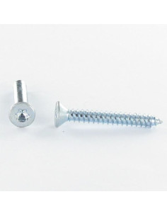 Tornillo chapa cabeza fresada/testa svasat TORX T10...