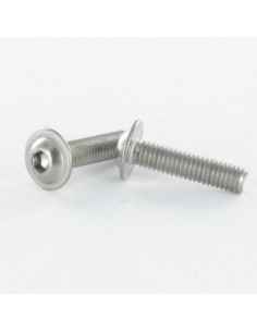 Tornillo metales cabeza abombada resalto reborde TORX T30...