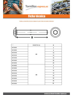 Tornillo metales cabeza abombada resalto reborde TORX T30... 2