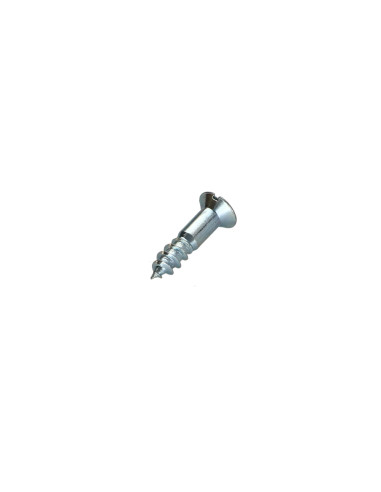 1 x Tornillo madera Acero cincado blanco 5X20...